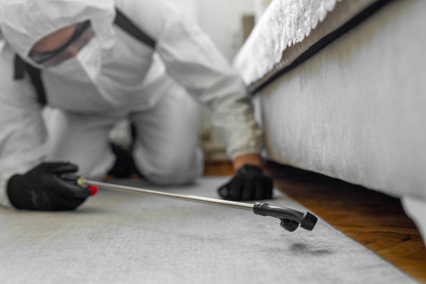 Professional Wasp Control technician working in St. Martinville, LA