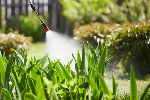 24/7 Emergency Rodent Control experts in St. Martinville, LA