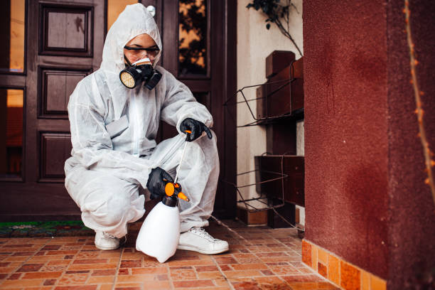 Reliable Rodent Control contractor in St. Martinville, LA by Nex Pest Control