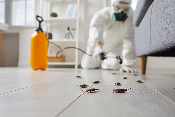 Trusted Rodent Control service in St. Martinville, LA - Nex Pest Control