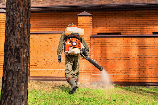 Trusted Emergency Pest Control service in St. Martinville, LA - Nex Pest Control